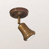 Mini Adjustable Ceiling Light