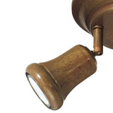 Mini Adjustable Ceiling Light