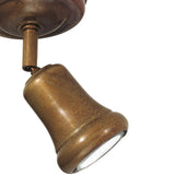 Mini Adjustable Ceiling Light