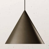 Cone Indoor Pendant Light