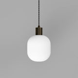 Parlour Curve Pendant Light