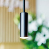 Volta Single Pendant Light
