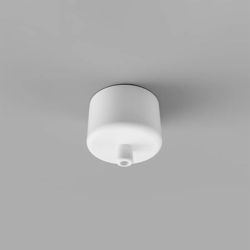 Single Canopy Ceiling Light