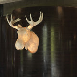 Moo Wall Light