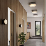 Over Me Ceiling and Wall Light