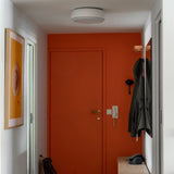 Over Me Ceiling and Wall Light
