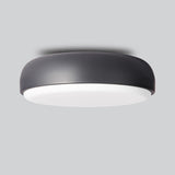 Over Me Ceiling and Wall Light