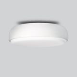 Over Me Ceiling and Wall Light