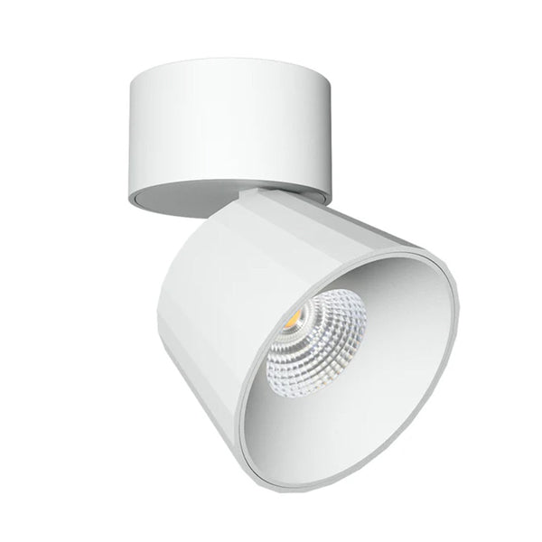 Skirt Adjustable Ceiling Light