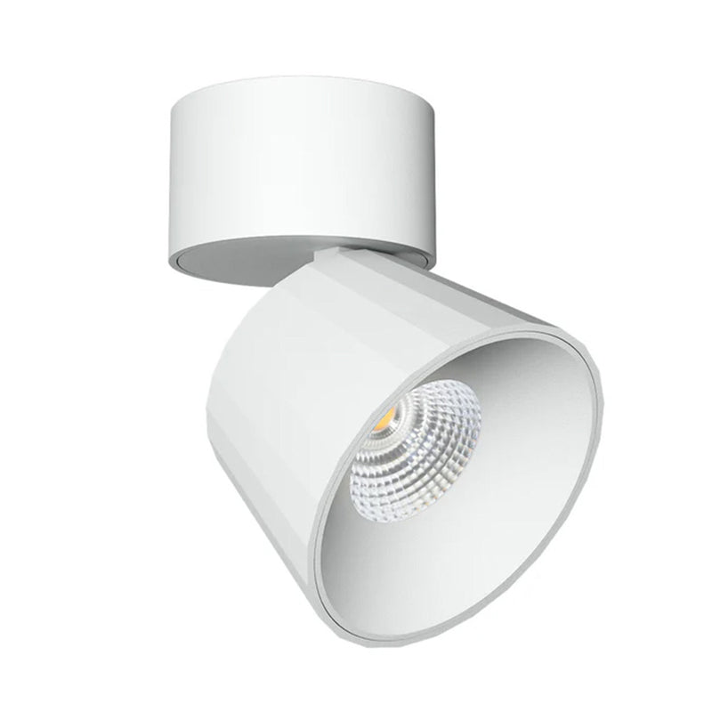Skirt Adjustable Ceiling Light
