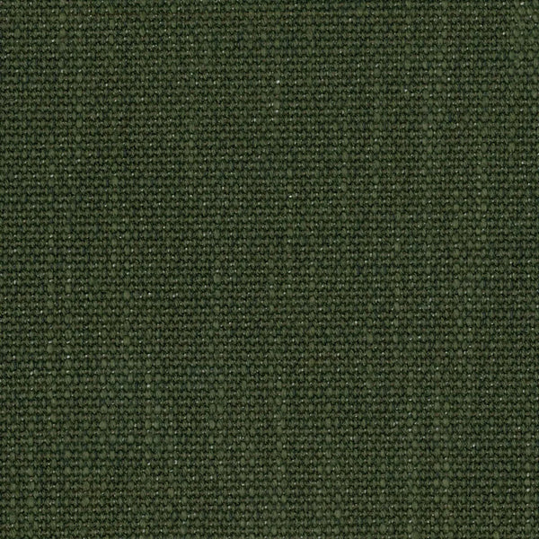 Axiom Olive