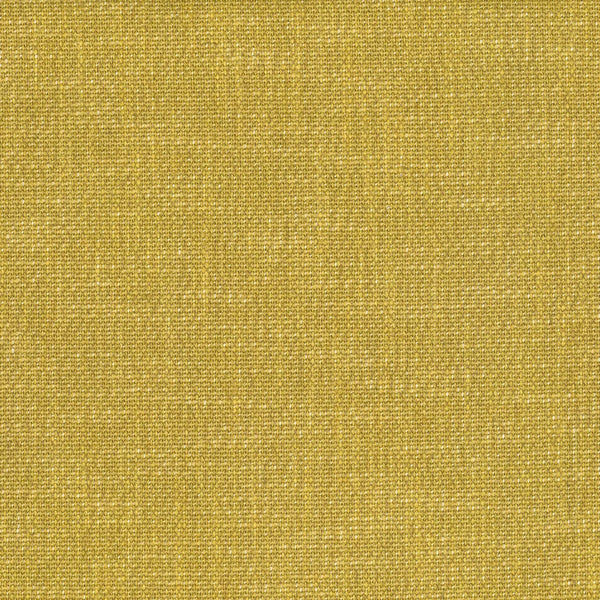 Axiom Sunflower