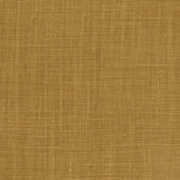Davina Camel