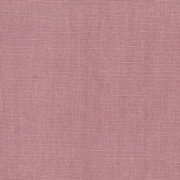 Haven Lilac