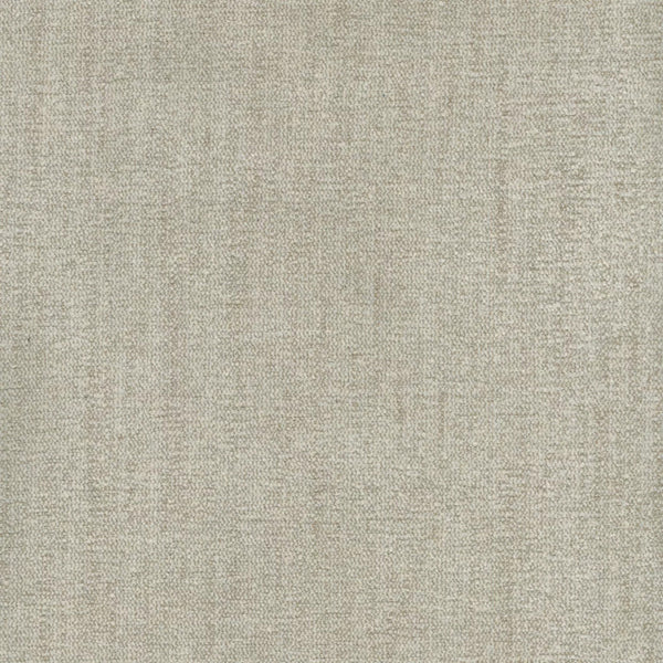 Parissi Bone