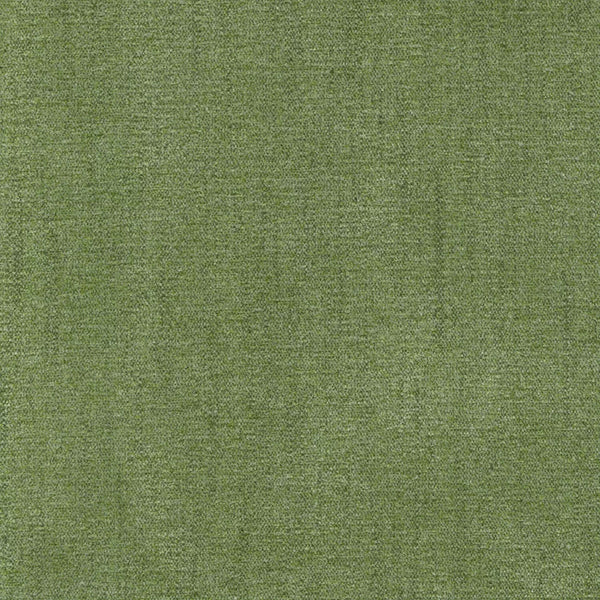 Parissi Cactus