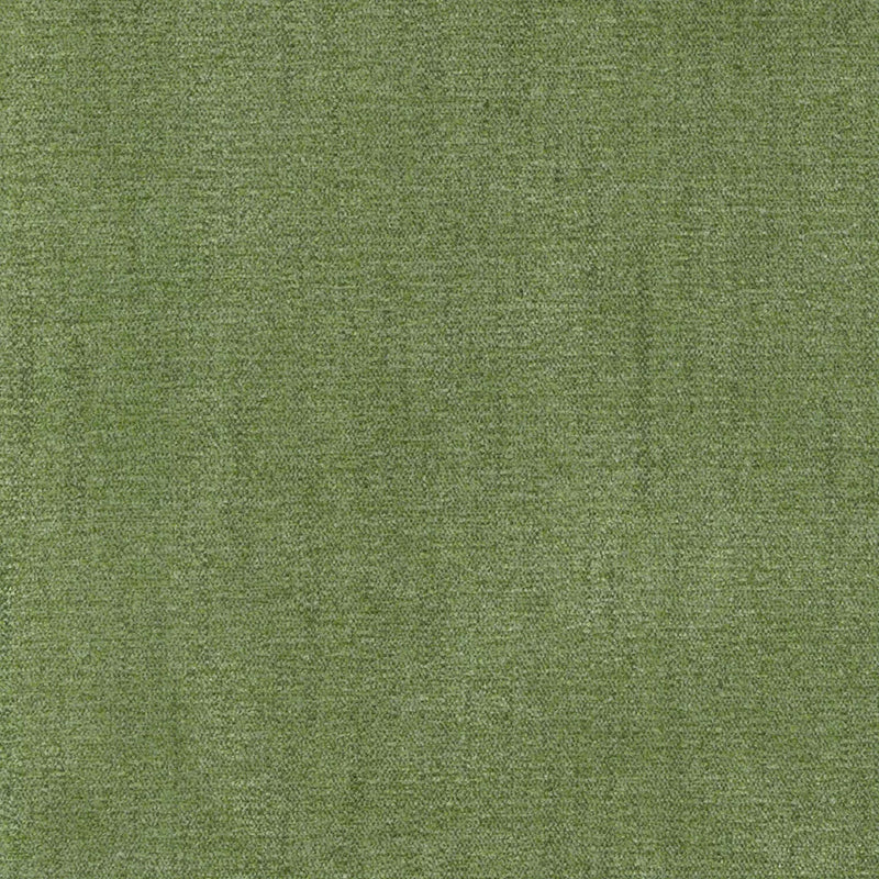 Parissi Cactus
