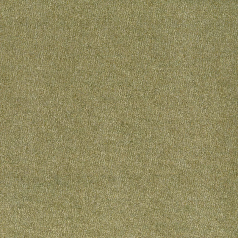 Parissi Moss