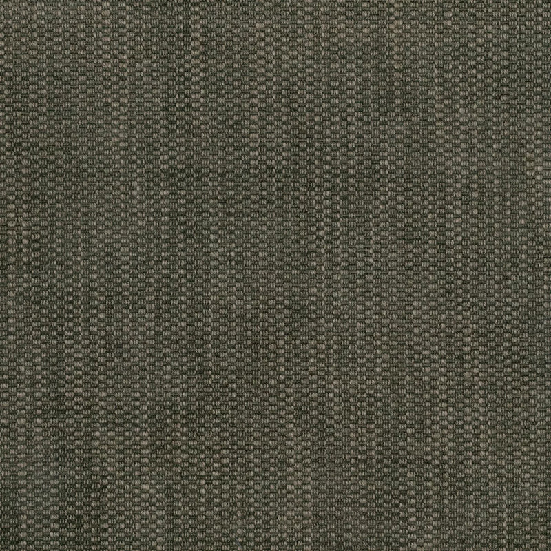 Pompeii Cocoa