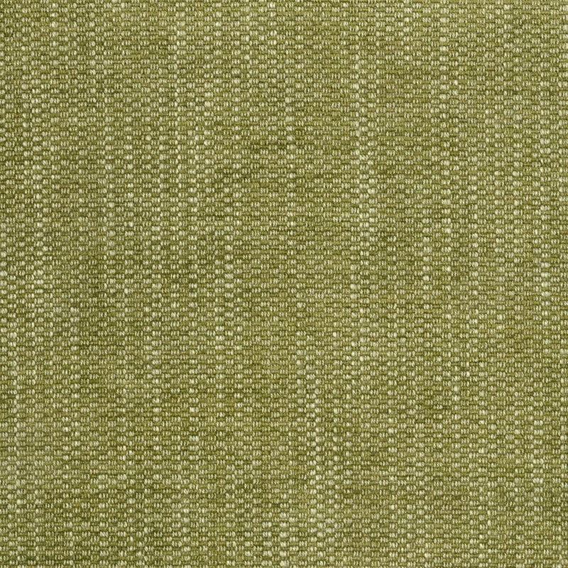Pompeii Moss