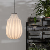 Circus Pendant Light
