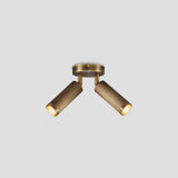 Spot Double Ceiling Light