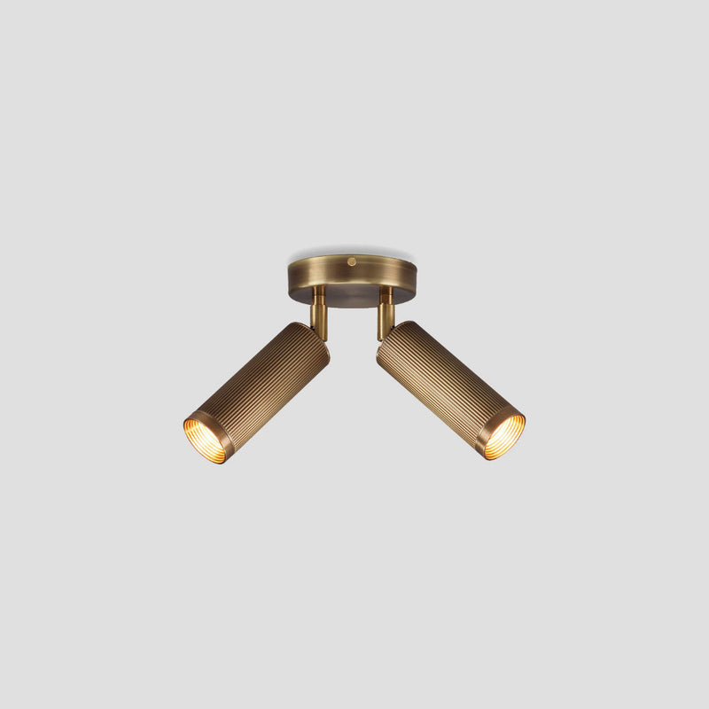 Spot Double Ceiling Light