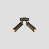 Spot Double Ceiling Light