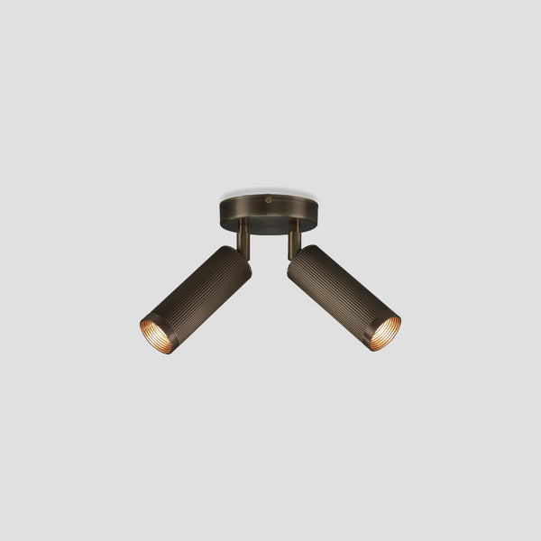 Spot Double Ceiling Light