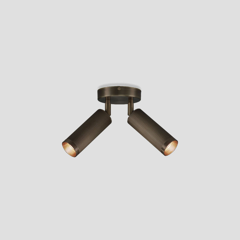 Spot Double Ceiling Light