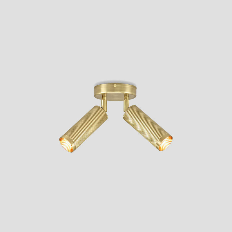 Spot Double Ceiling Light