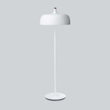 Acorn Floor Lamp