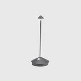 Pina Floor Lamp