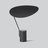 Ombre Table Lamp