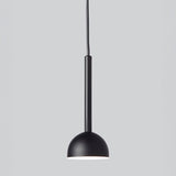 Blush Pendant Light