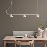 Blush Rail 3lt Pendant Light