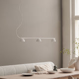 Blush Rail 3lt Pendant Light