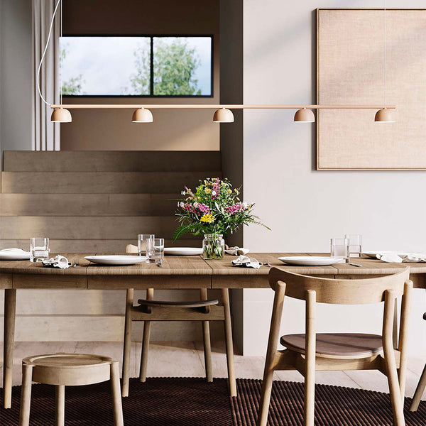 Blush Rail 5lt Pendant Light