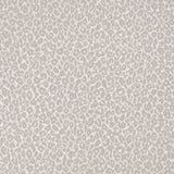 Kitty Wallpaper