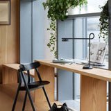 Salto Table Lamp