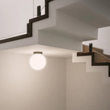 Asteroide Ceiling Light