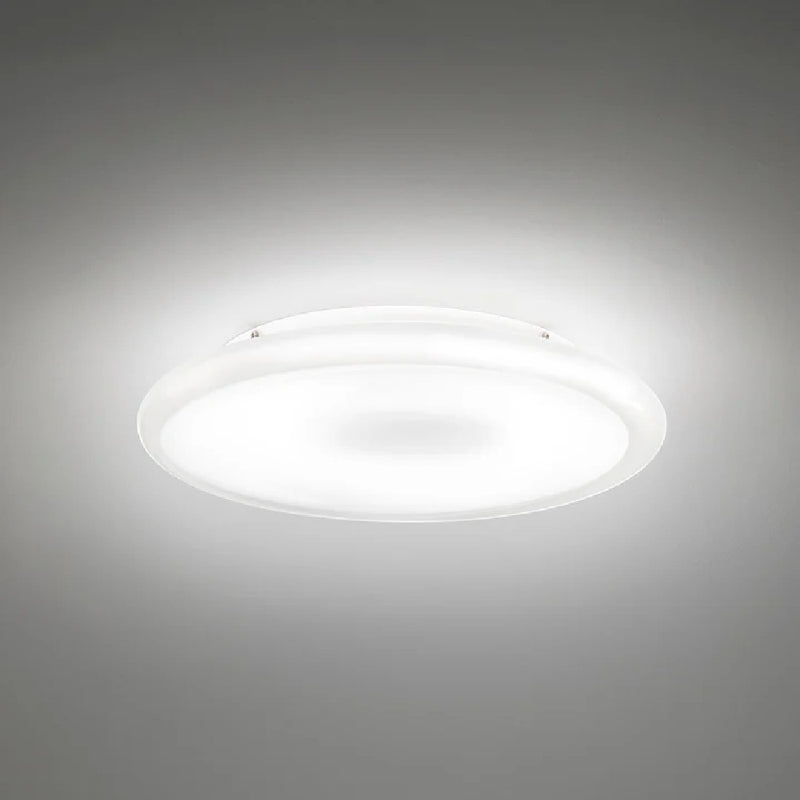 Pod Ceiling Light