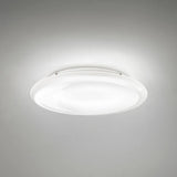 Pod Ceiling Light