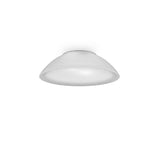 Infinita Ceiling Wall Light
