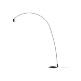 Fox Floor Lamp