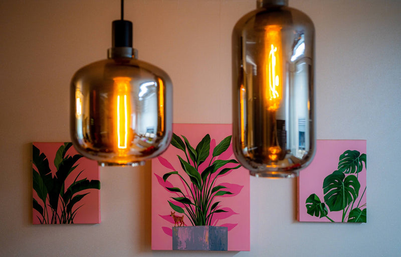 lighting Consultations