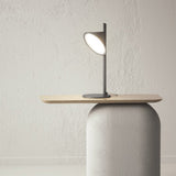 Orchid Table Lamp