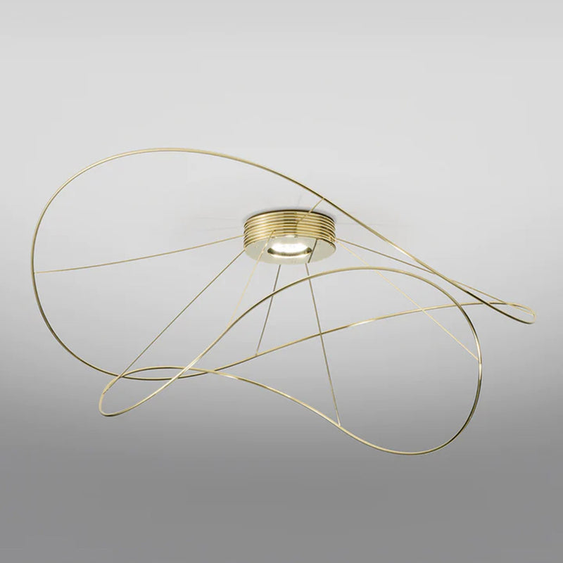 Hoops Ceiling Light
