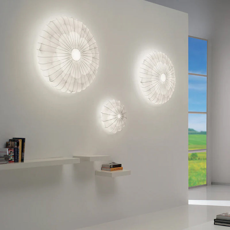 Muse Ceiling & Wall Light
