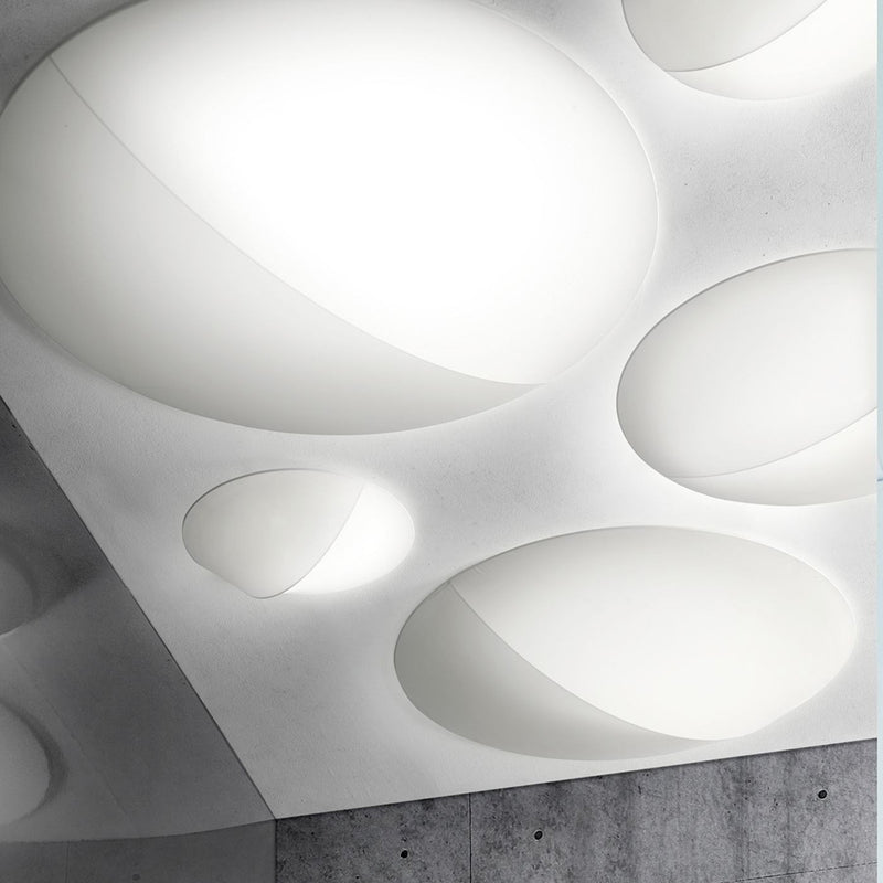 Nelly Ceiling & Wall Light